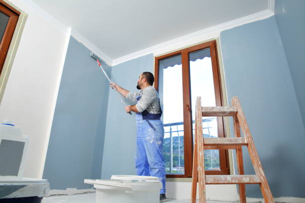 Mold Odor Removal Services in Spring Arbor, MI