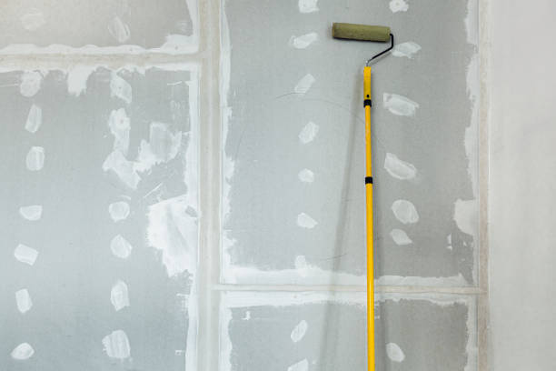 Best Environmental Consulting for Mold Prevention  in Spring Arbor, MI