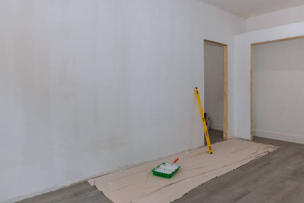 Best Residential Mold Inspection & Testing  in Spring Arbor, MI