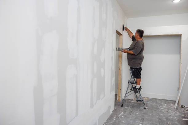Best Comprehensive Air Testing for Mold Contaminants  in Spring Arbor, MI