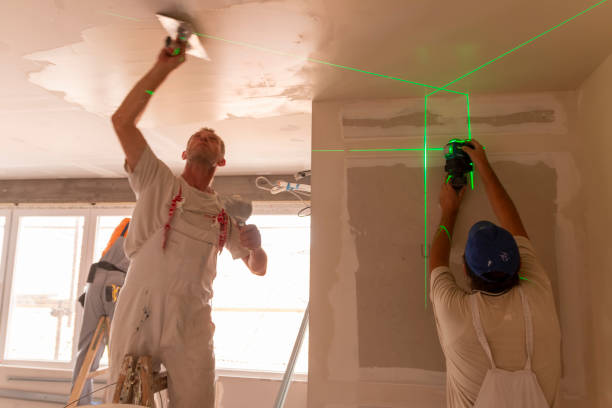 Best Mold Removal for HVAC Installations  in Spring Arbor, MI