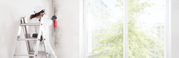 Best Air Quality Testing for Mold Spores  in Spring Arbor, MI