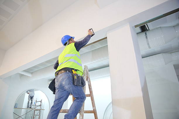 Best Mold Remediation for Rental Properties  in Spring Arbor, MI